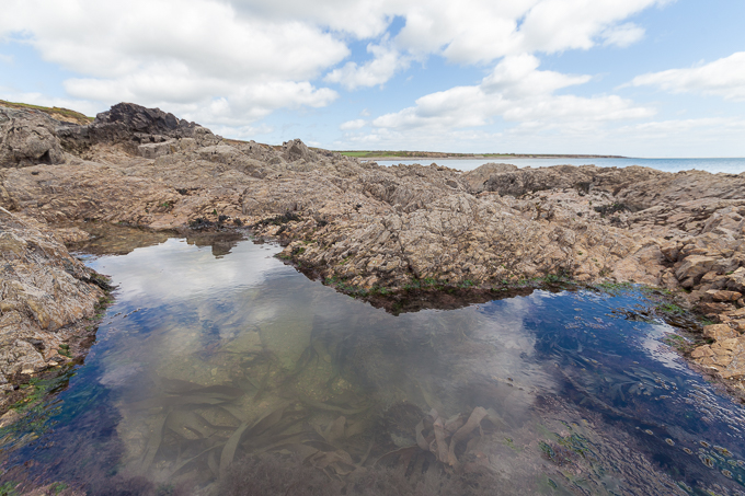 Ireland May 2015 (16)